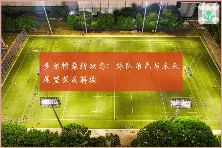 多尔特最新动态：球队角色与未来展望深度解读