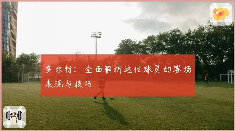 多尔特：全面解析这位球员的赛场表现与技巧