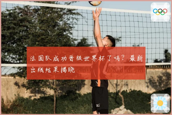 法国队成功晋级世界杯了吗?最新出线结果揭晓