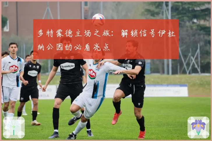 多特蒙德主场之旅：解锁信号伊杜纳公园的必看亮点