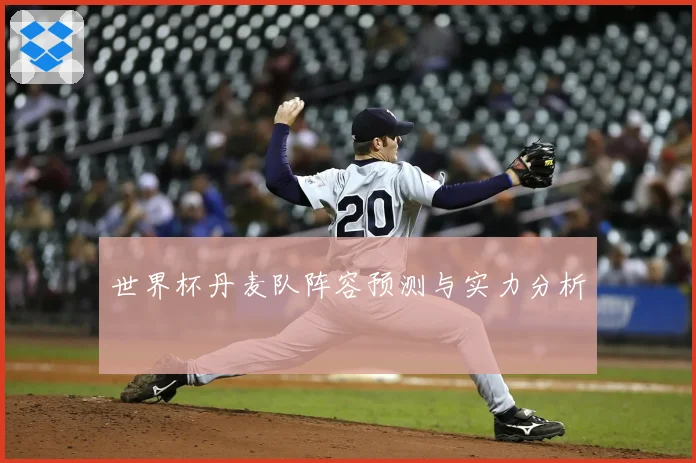 世界杯丹麦队阵容预测与实力分析
