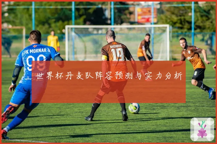世界杯丹麦队阵容预测与实力分析