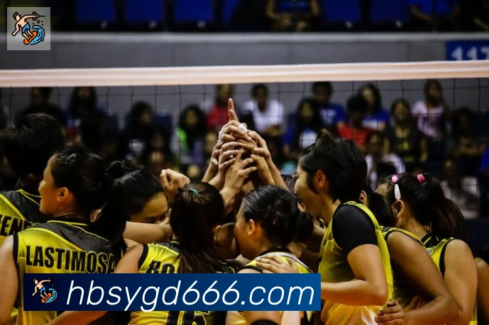 开云kaiyun网页版官网APP 体育赛事宣传图